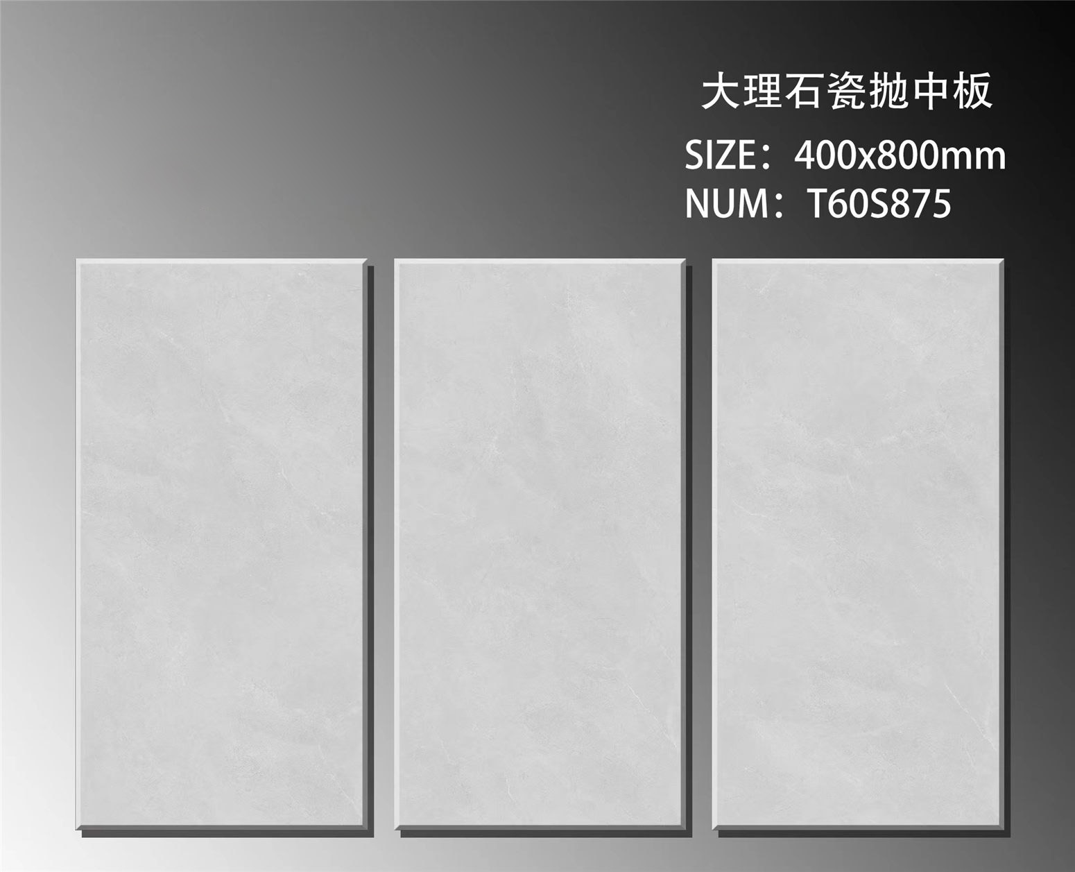T60S875