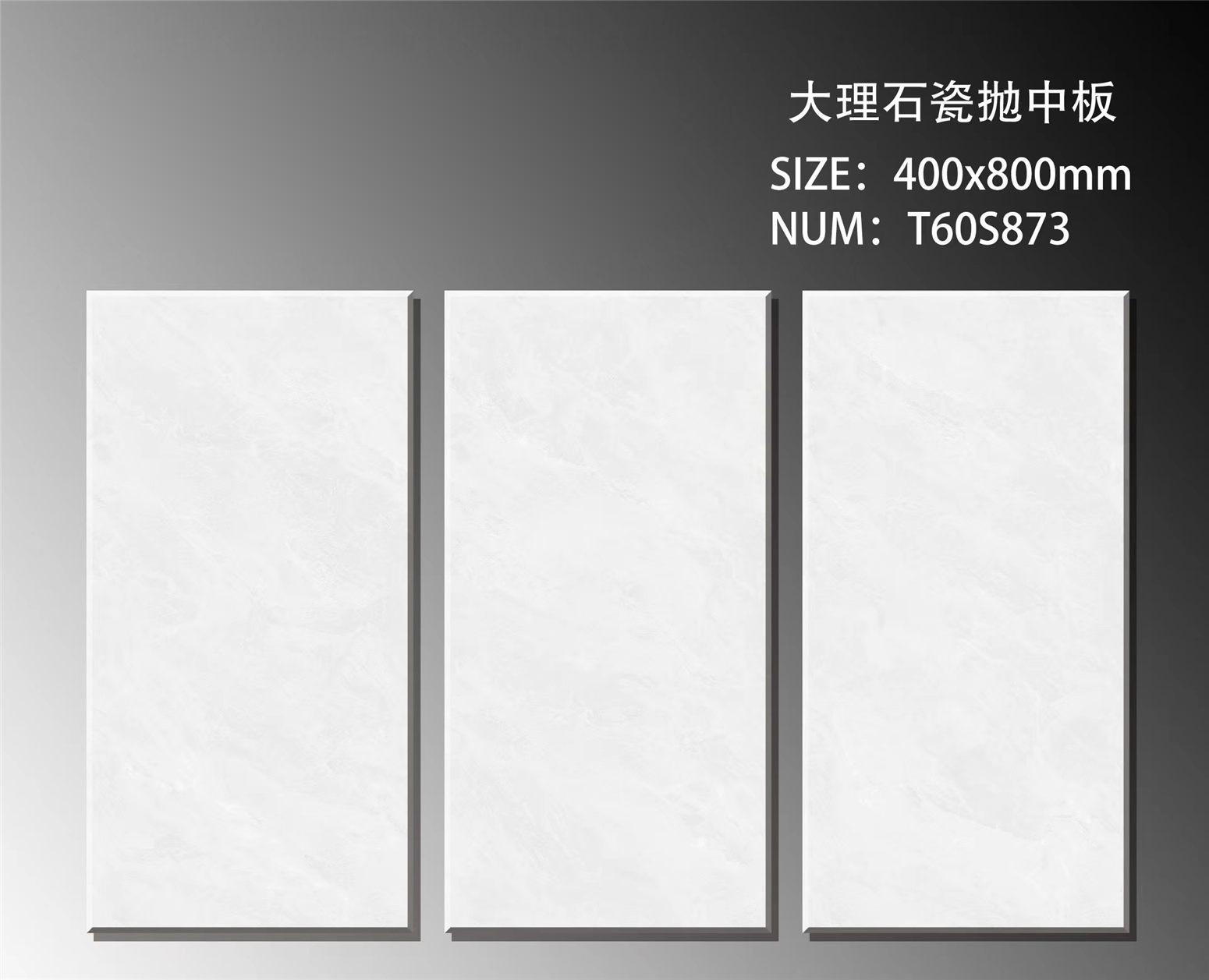 T60S873