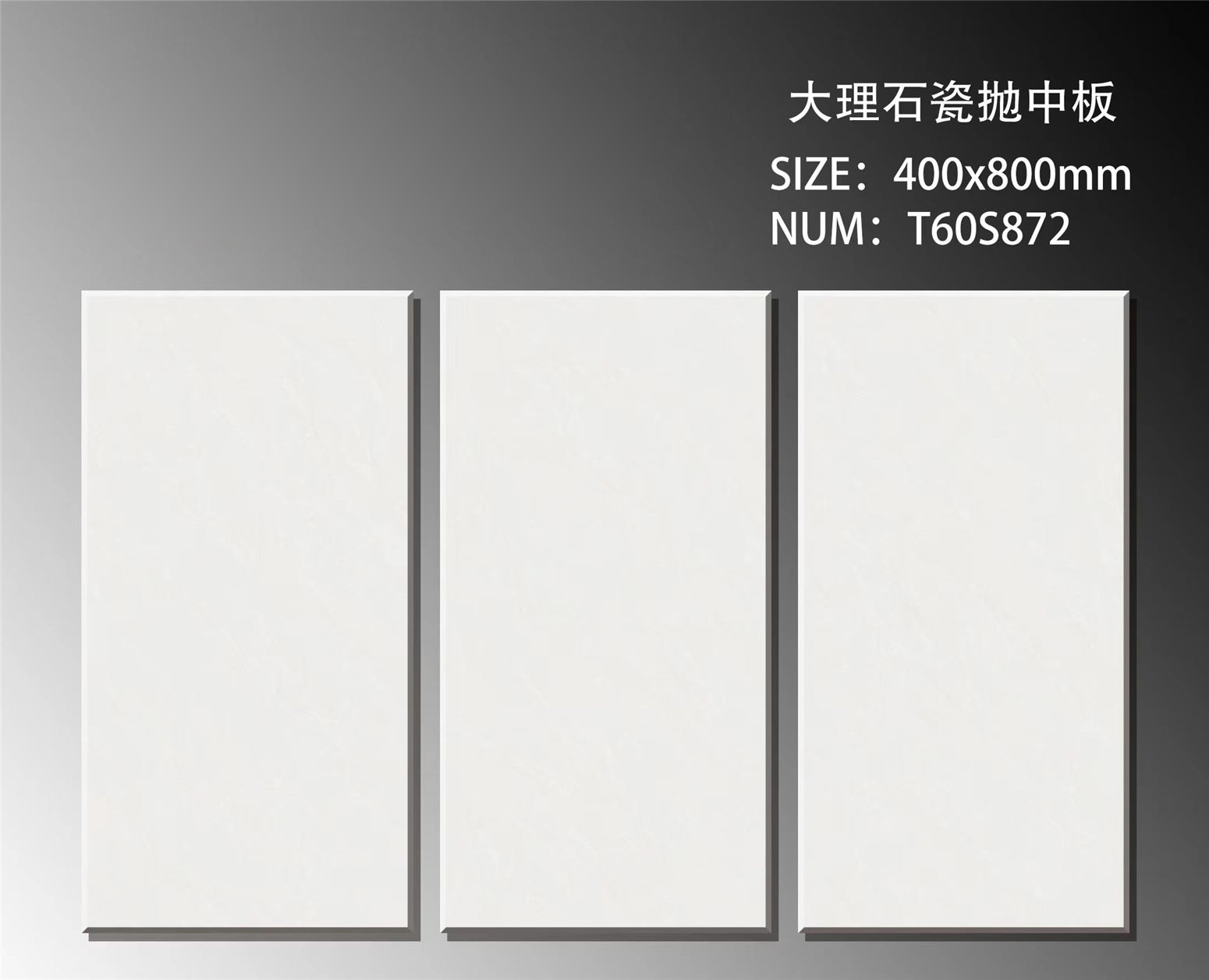 T60S872