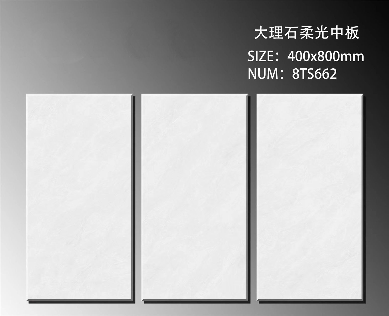8TS662